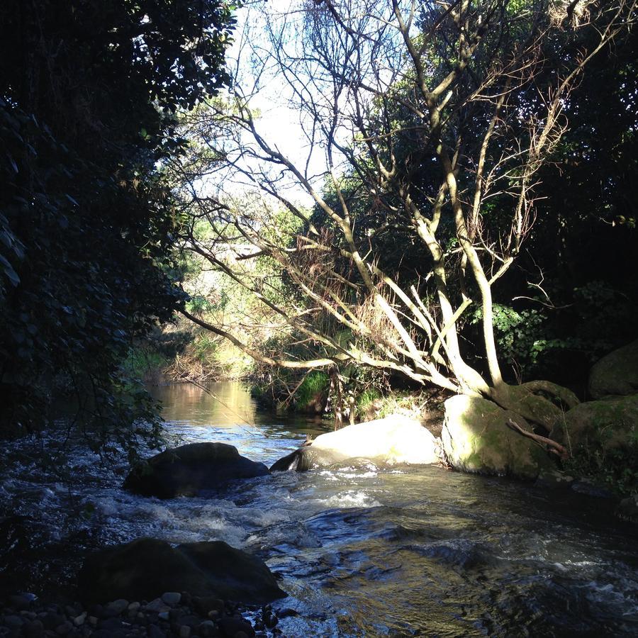 Punehu Stream Cottage Opunake 外观 照片